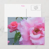 2 Rose Postkarte (Vorne/Hinten)