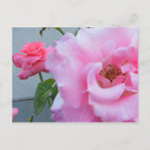 2 Rose Postkarte (Vorderseite)