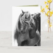 2 Sable Island Hengste Wild Horse Grußkarte Karte (Gelbe Blume)