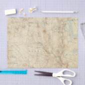 2 Sandisfield Blatt Seidenpapier (Handwerk)
