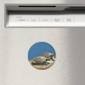 2 Schildkröten auf einem Felsen Magnet (In Situ (Geschirrspüler))