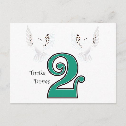 2 Schildkröten Postkarte (Vorderseite)