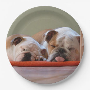 2 Schlafen bulldogs.png Pappteller