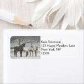 2 Schneepferde Stehend unter einem Baum (Insitu)