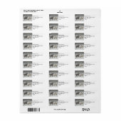 2 Schneepferde Stehend unter einem Baum (Vorne)