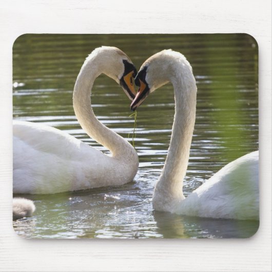 2 Schwäne im Wasser Mousepad (Vorne)