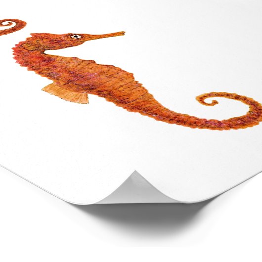 2 SEEPFERDE POSTER (Ecke)