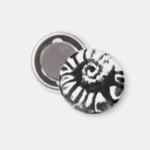 2-seitige fossile nautiloide Konstruktion in schwa Magnet (Vorderseite/Rückseite)