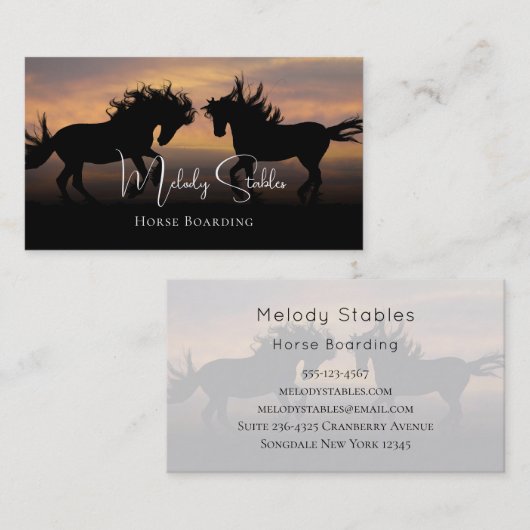 2 Silhouette Wild Pferde Fotografie Visitenkarte (Vorne/Hinten)
