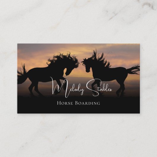 2 Silhouette Wild Pferde Fotografie Visitenkarte (Vorderseite)