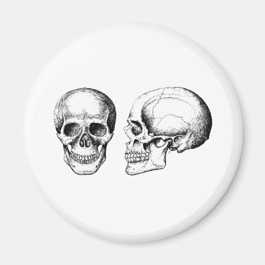 2 Skulls weiß Magnet (Vorne)