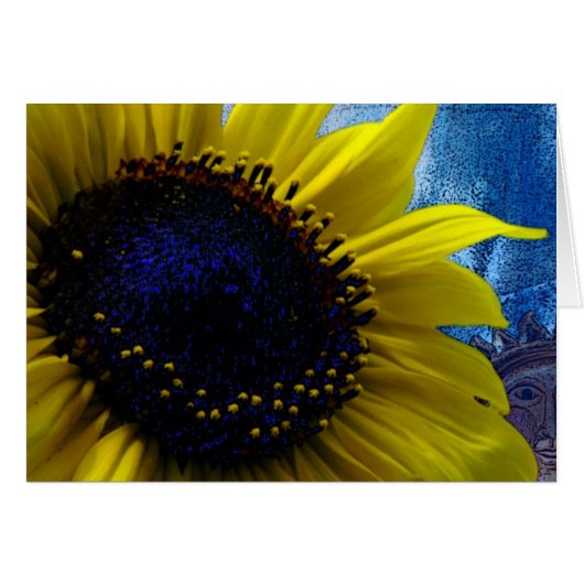 2 Sonnen (Vorderseite (Horizontal))