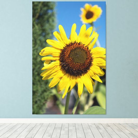 2 Sonnenblumen Leinwanddruck (Insitu (Holzboden))