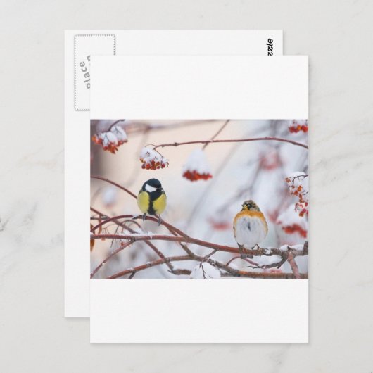 2 Spatzen Postkarte (Vorne/Hinten)