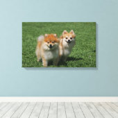 2 Spitz Kamera Leinwanddruck (Insitu (Holzboden))