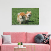 2 Spitz Kamera Leinwanddruck (Insitu (Wohnzimmer))