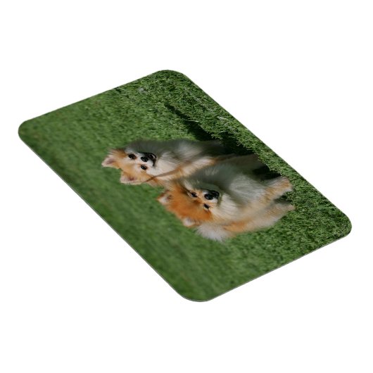 2 Spitz Kamera Magnet (Rechte Seite)