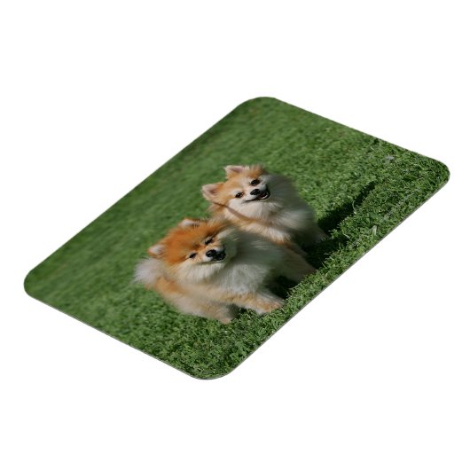 2 Spitz Kamera Magnet (Linke Seite)