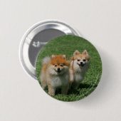 2 Spitze, die Kamera betrachten Button (Vorne & Hinten)