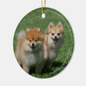 2 Spitze, die Kamera betrachten Keramikornament (Links)