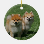 2 Spitze, die Kamera betrachten Keramikornament (Hinten)