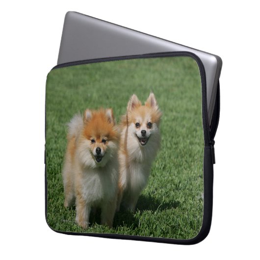 2 Spitze, die Kamera betrachten Laptopschutzhülle (Vorderseite Links)