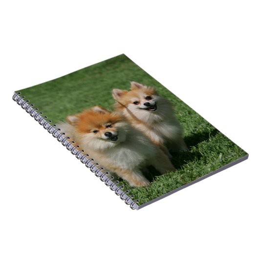 2 Spitze, die Kamera betrachten Notizblock (Rechte Seite)