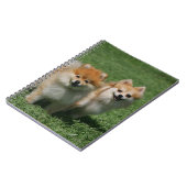 2 Spitze, die Kamera betrachten Notizblock (Linke Seite)