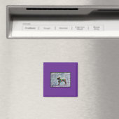 2" Square Magnet mit Boxer (In Situ (Geschirrspüler))