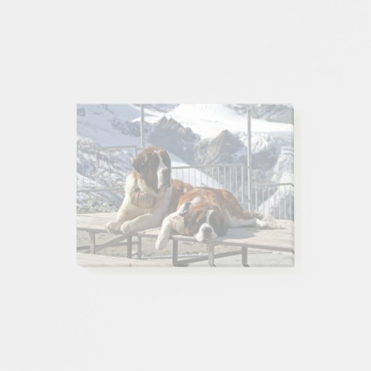 2 St-Bernard posierend - Post-it Notizblock (Vorderseite)