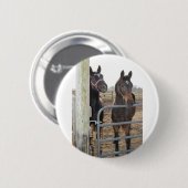 2 Stallpferde Button (Vorne & Hinten)
