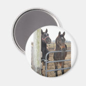 2 Stallpferde Magnet (Vorderseite/Rückseite)