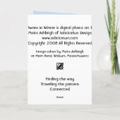 2 Swans in Winter Karte (Rückseite)