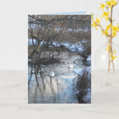 2 Swans in Winter Karte (Gelbe Blume)