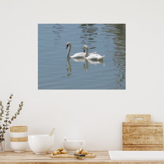 2 Swans Poster (Küche)