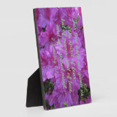 2 Timothy 1:7 Denn Gott hat uns den Geist nicht ge Fotoplatte (Seite)