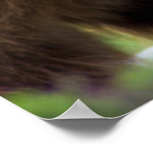 2 Timothy 1:7 Poster (Ecke)