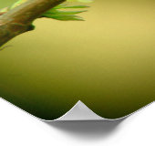 2 Timothy 3:16-17 Christliches Poster Hummingbird (Ecke)