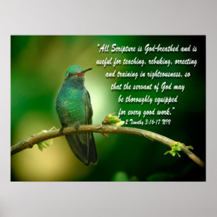 2 Timothy-3:16 - christlicher Kolibri des Poster