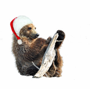 2"" Verzierung des Weihnachtenx3 mit Fotoskulptur Ornament