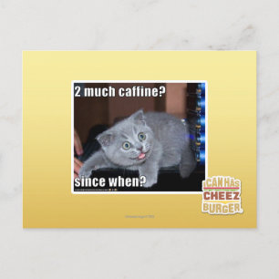 2 viel Caffine? Postkarte
