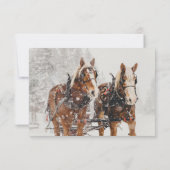 2 Weihnachtswildspringen UAWG Einladung (Rückseite)