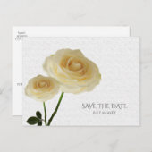 2 Weiß gestrichene Rose Elegant Save the Date Ankündigungspostkarte (Vorne/Hinten)