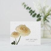 2 Weiß gestrichene Rose Elegant Save the Date Ankündigungspostkarte (Stehend Vorderseite)
