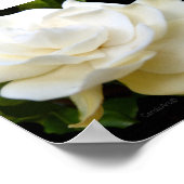 2 Weißer Grödner Poster (Ecke)