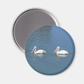 2 Weißpelikanmagnet Magnet (Vorderseite/Rückseite)