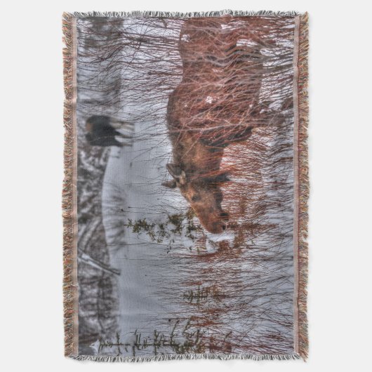 2 Wilde kanadische Elche im Winterschnee I Decke (Vorderseite Vertikal)