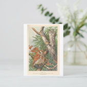2 wütende Vintage Eule in einem Baum Postkarte (Stehend Vorderseite)