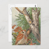 2 wütende Vintage Eule in einem Baum Postkarte (Vorne/Hinten)