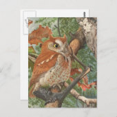 2 wütende Vintage Eule in einem Baum Postkarte (Vorne/Hinten)